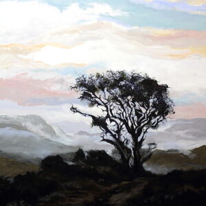 Sunset near Greytown. 762 x 1016 mm. Oil on box canvas.  Artist: Ocky (OA003)