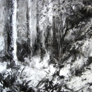 Forest 4. 390 x 560 mm. Charcoal on canvas pad.  R 1400, Framed. Artist:  Ocky. (OA0029)